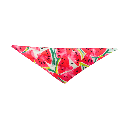 Petmoda Pet Bandana XS - Watermelon