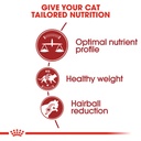 Royal Canin Fit Cat Dry Food 400g