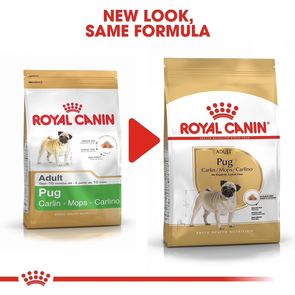 Royal Canin Pug Adult 1.5 Kg