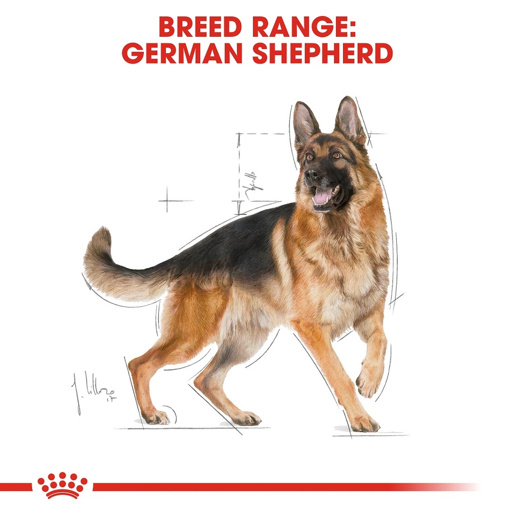 Royal Canin German Shepherd Dry Dog Food Adult 17kg