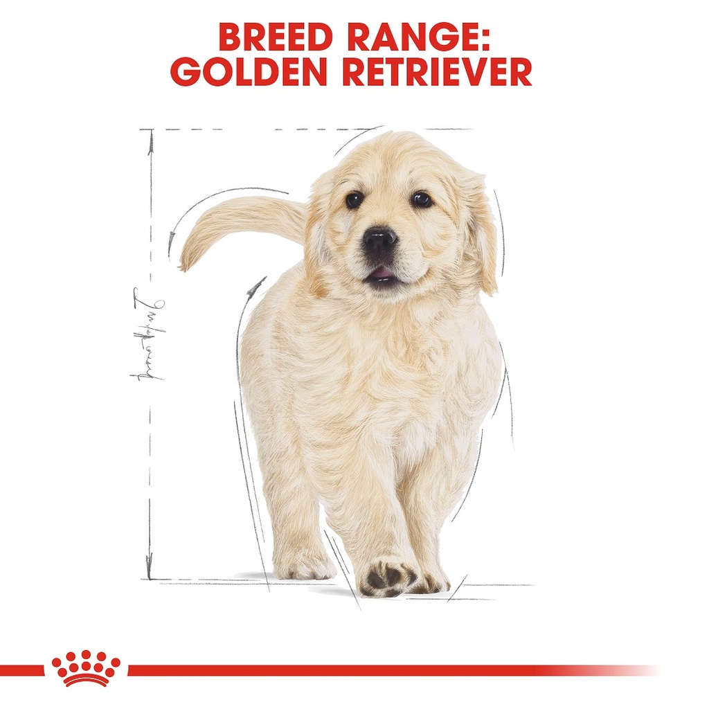 Royal Canin Golden Retriever Puppy Dry Dog Food 17kg
