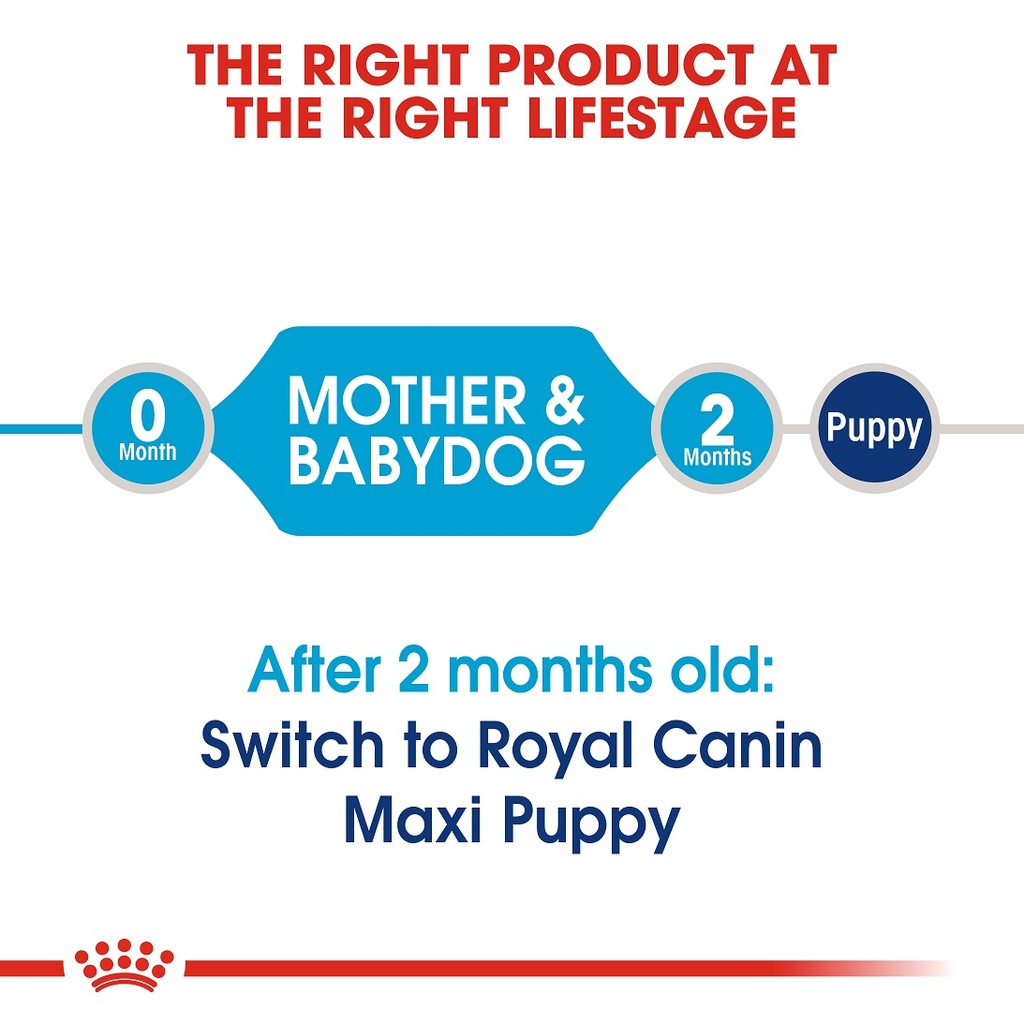 Royal Canin - Maxi Starter Dry Food 4kg 