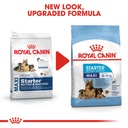 Royal Canin - Maxi Starter Dry Food 4kg 