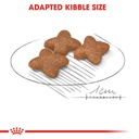 Royal Canin Mini Adult Dry Food 2kg