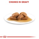 Royal Canin Maxi Adult Pouch Gravy 140g