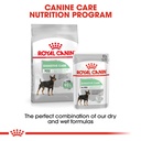 Royal Canin Digestive Care Dog Pouch Loaf 85g