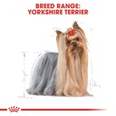Royal Canin Yorkshire Adult Loaf 85g