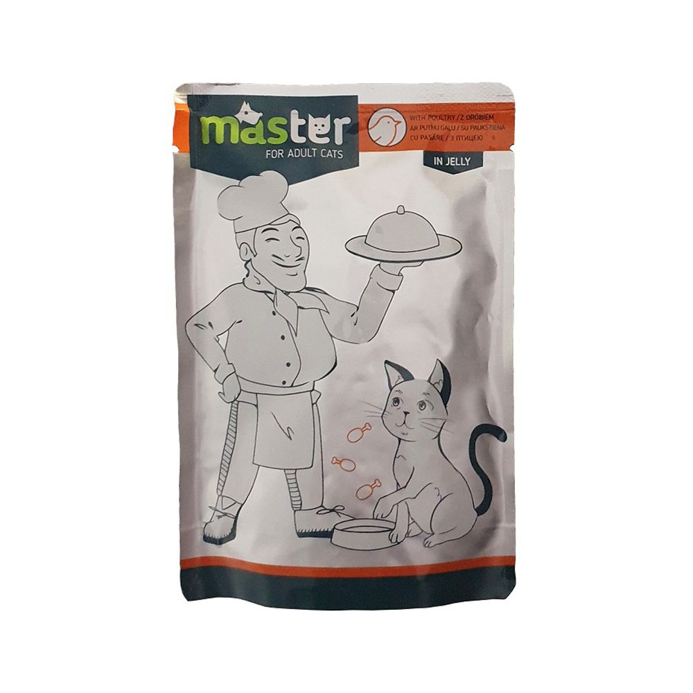 Master Adult Cat Wet Food in Jelly Pouch 80 g