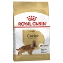 Royal Canin Cocker Spaniel Adult 3kg