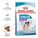 Expiry 3-2025 Royal Canin Giant Junior Dog Food 15 Kg