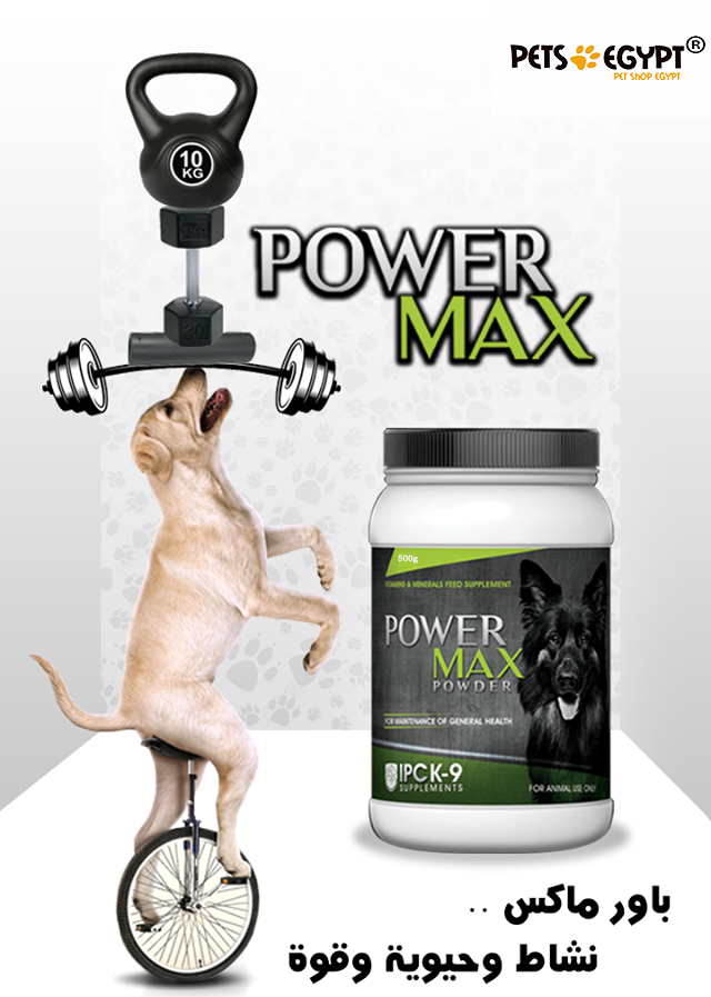 Expiry 4-2025 Power Max Powder 500g