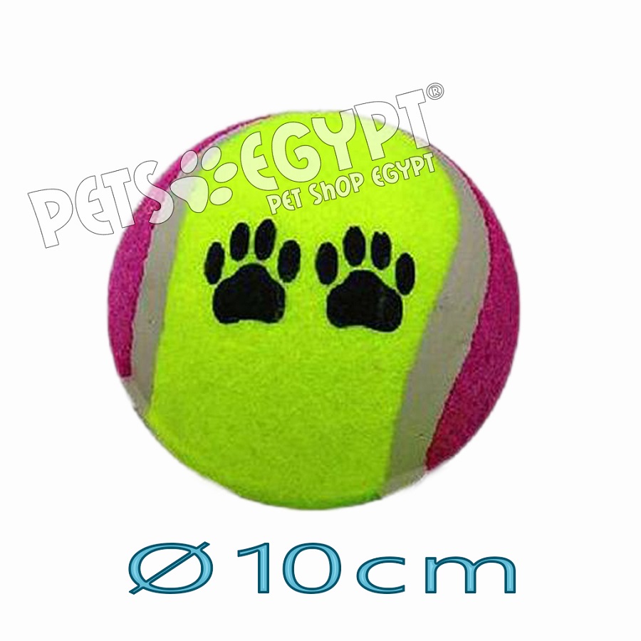 UE Tennis Ball Ø 10 cm Dog Toy