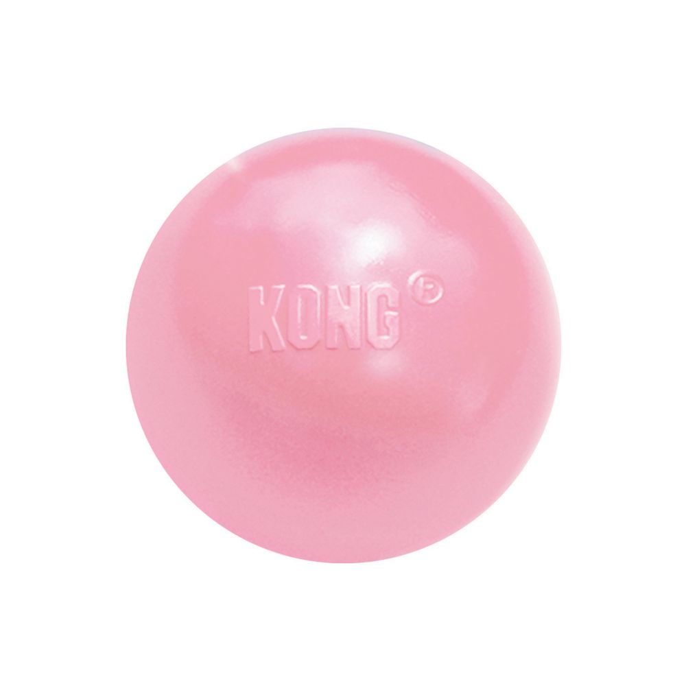 Kong Puppy Ball with Hole Small
