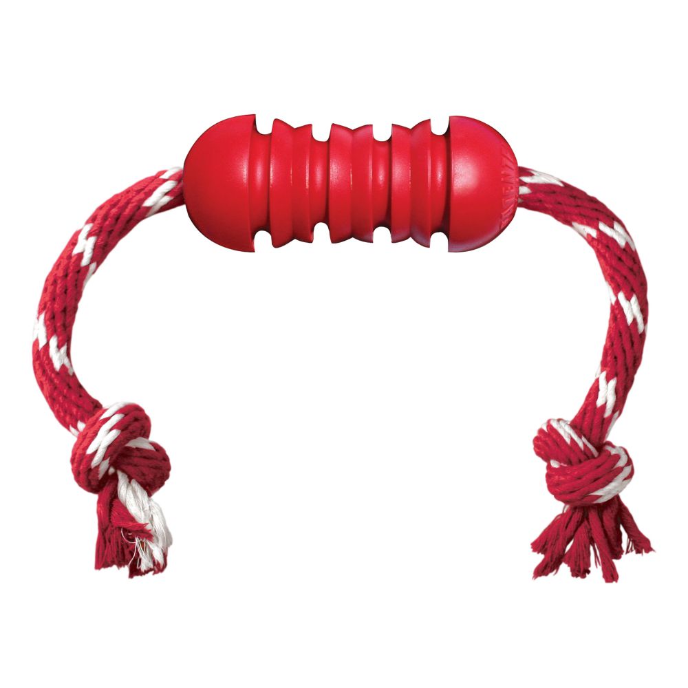 Kong Dental with Rope M - Red