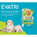 Evatri Dogs 1 Deworming Tablet