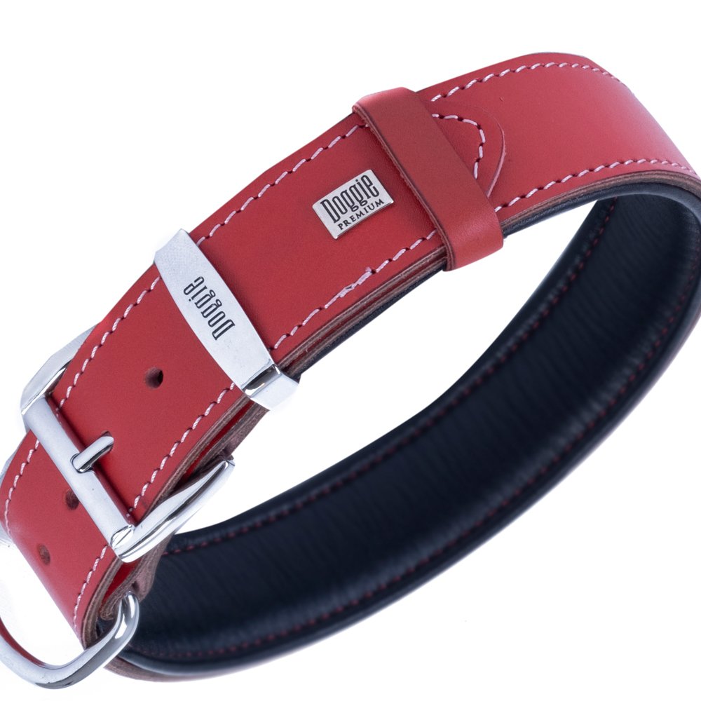 Doggie First Class Leather Collar (3.5x47-55cm)