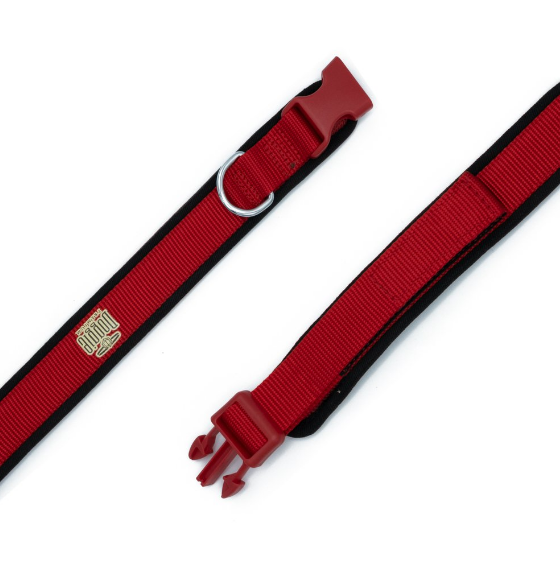 Doggie Airy Webbing Collar (2.5x40-50cm)