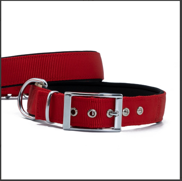 Doggie Elite Webbing Collar (2.5x37-45cm)