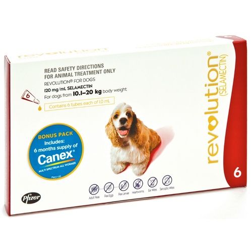 Revolution pill 2024 for dogs