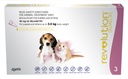 Revolution for Puppies and Kittens (Single Dose)
