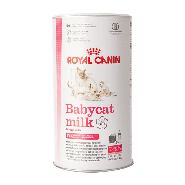 Royal Canin BabyCat Milk 300 g Best Before 09 06 2023 PetsEgypt