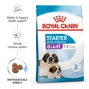 Royal Canin Giant Starter Dry Food 15 kg (Best Before 10/07/2023)