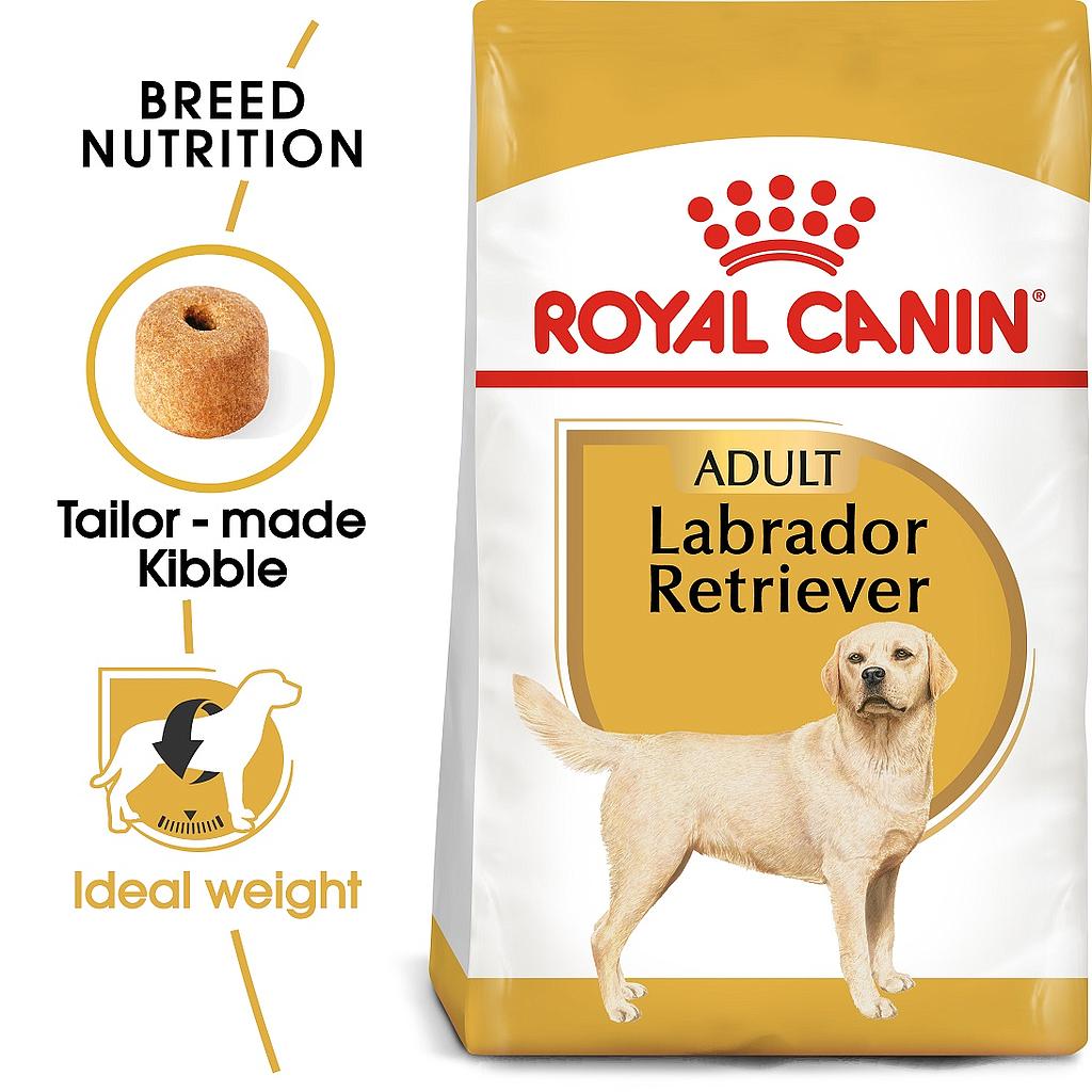 Labrador retriever puppy clearance food