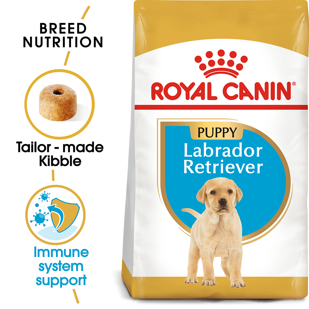 Labrador retriever shop dog food