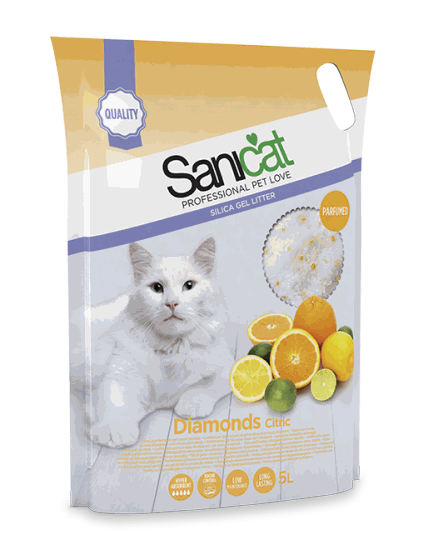 Sanicat silica 2025 gel litter