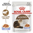 Royal canin AGEING +12  JELLY-GELATINA-GELE 85g