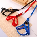 AS Harness and Leash L
