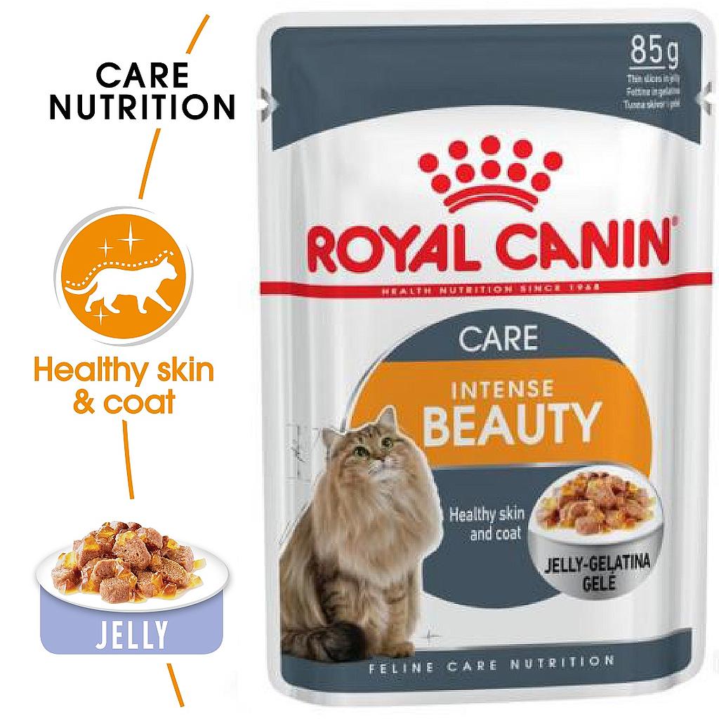 Beauty hotsell royal canin