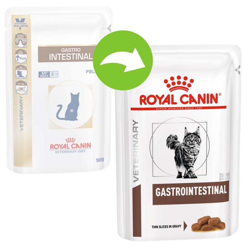 Gastro 2025 intestinal feline