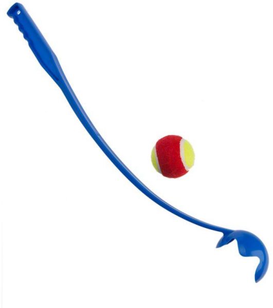 Dog shop ball stick