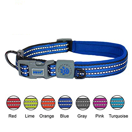 Blue frog dog clearance collar