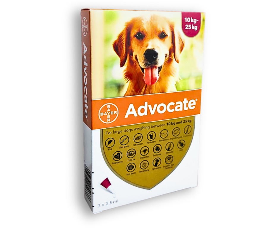 Advocate Spot-On for Large Dogs - 25kg) X 1 Dose