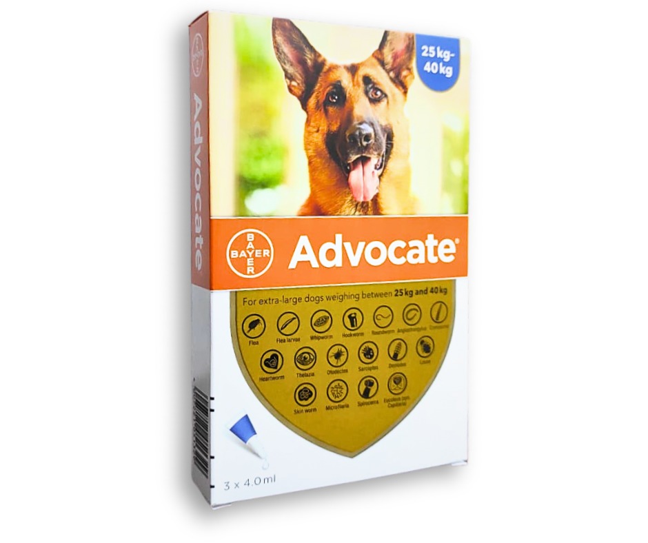 Advocate for Dogs