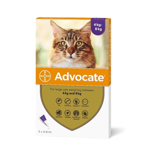 [1312] Advocate Spot-On for Large Cats ( over 4Kg ) X 1 Dose