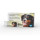 Fipron Spot-On Dog XL above 40kg x 1 Dose