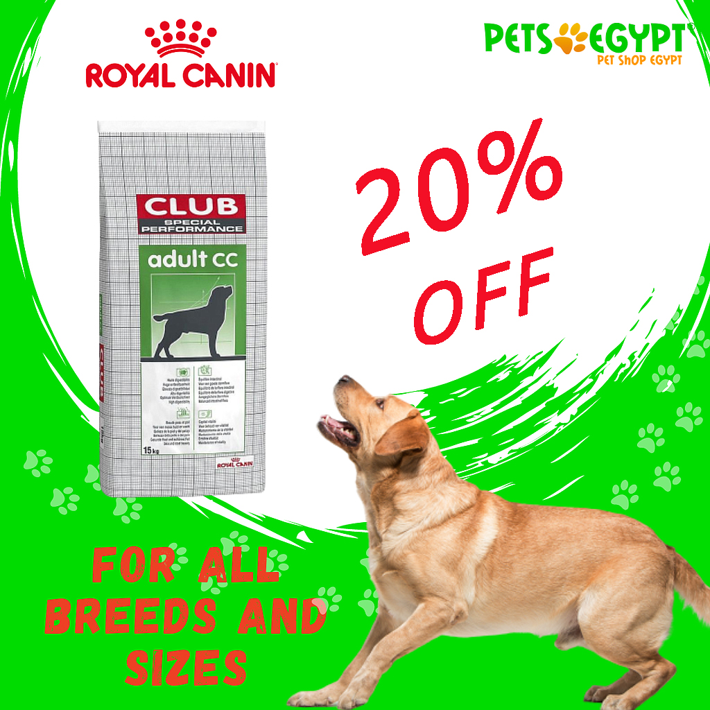 Royal Canin Club Special Performance Adult CC 15Kg Best Before 23 7 2021 PetsEgypt