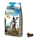 Traditional Dog & Dog Vitale Energia Adult Dog Food With Chicken 20Kg