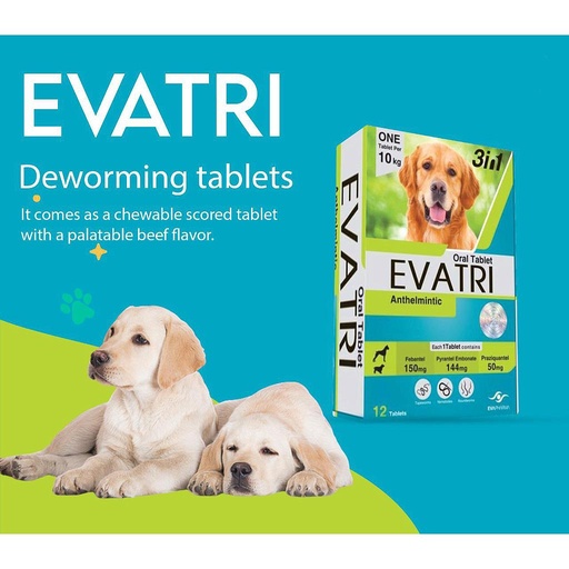 [0563] Evatri Dogs 1 Bone Tablet