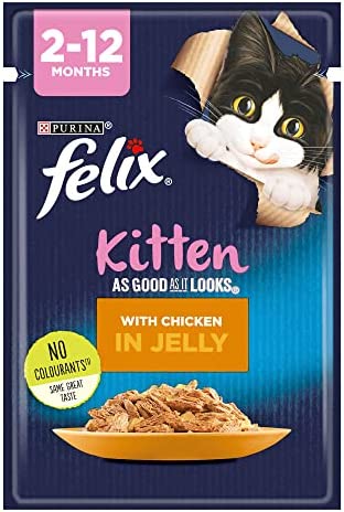 Felix kitten 2024 wet food