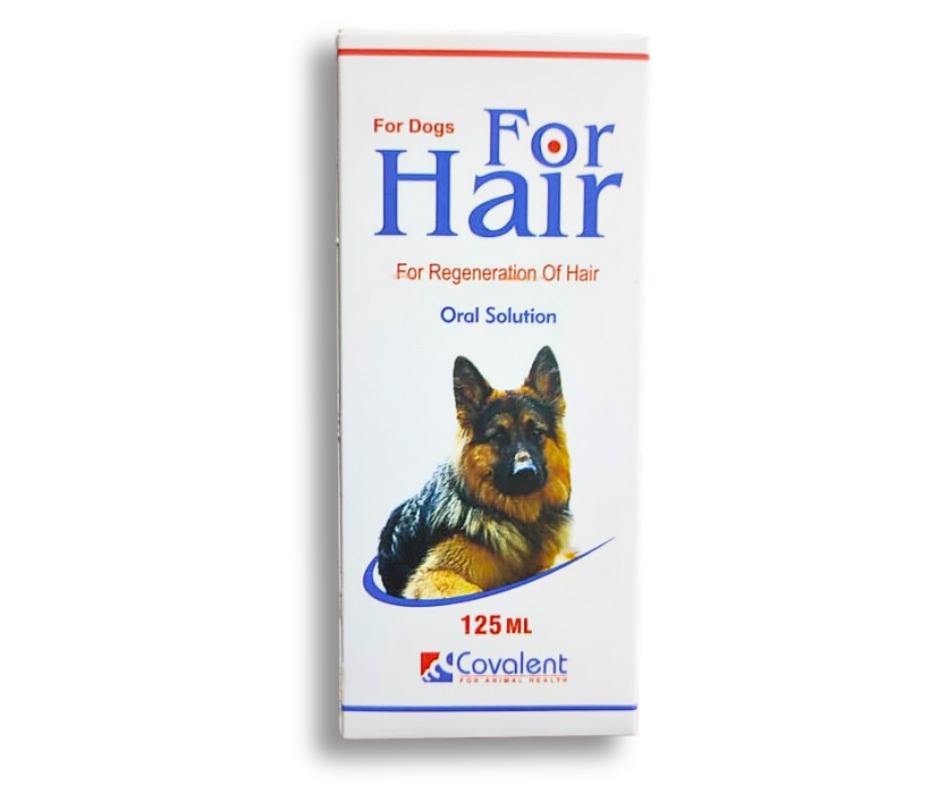 Dog hair solutions best sale