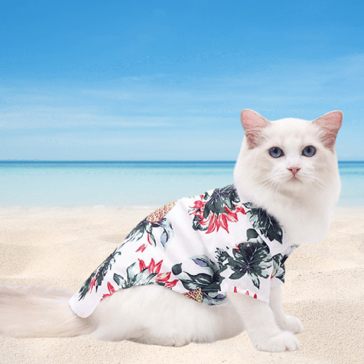 [6755] Petmoda Hawaiian Cat Shirt Size 3 - tropical parrots