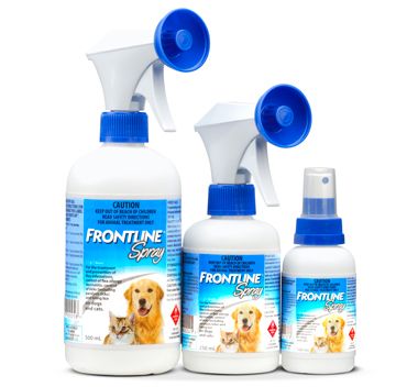 Frontline Fleas & Ticks Spray for Dogs and Cats 100ml | PetsEgypt.com